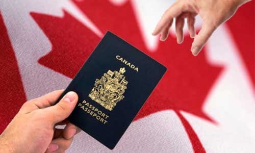 Best Immigration Service in Toronto: Top 4 Questions to Ask Your Consultant